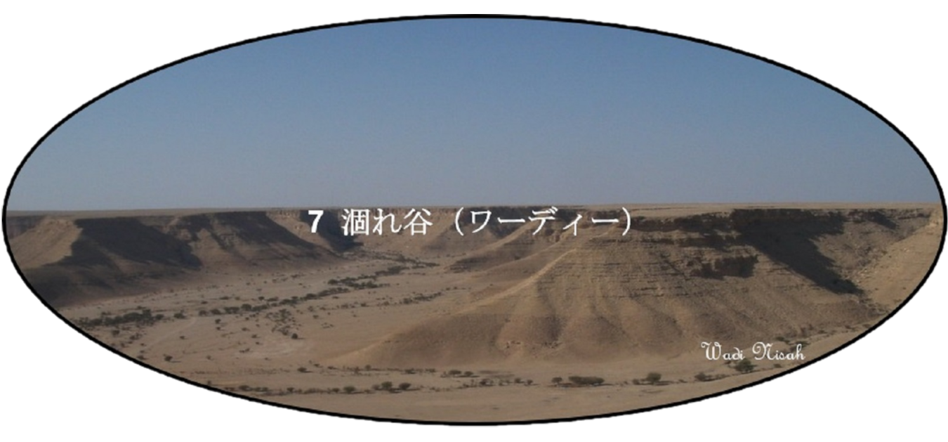 7 涸れ谷（ワーディー） – Desert peninsula